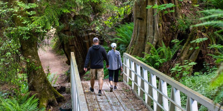 A walk with the Sampsons: Vancouver Island’s rain forest and coastline