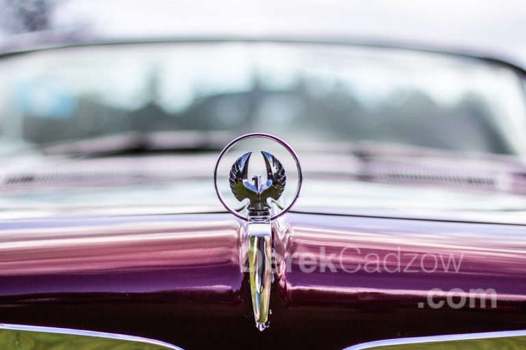 Photo gallery: Vintage cars on Vancouver Island